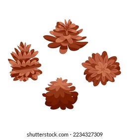 Pine cone vector vector set isolated on white background. Forest winter plant flat illustration