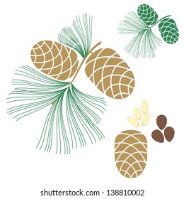 Pine cone vintage style. Cedar tree vector