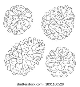 Pine cones black and white vector set