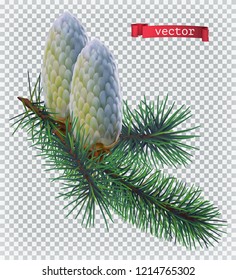 Pine cones christmas decoration. 3d realistic vector icon