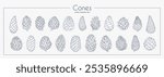 Pine cones collection set. Linear graphic style. Vector illustration.