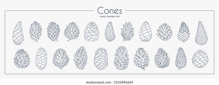 Pine cones collection set. Linear graphic style. Vector illustration.