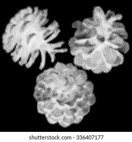 Pine cones as halftone illustration on black background