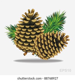 Pine cones with pine needles. Vector illustration