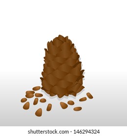 Pine cones and pine nuts. The illustration on a white background.
