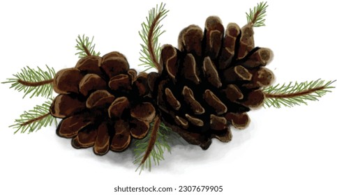 pine cones on a white background suitable for embellishing cards
