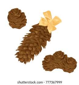 Pine cones on a white background, vector illustration in cartoon style