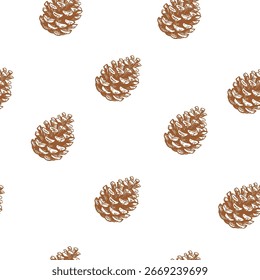 Cones de pinho, padrão sem costura, esboço, desenhado à mão ilustrações vetoriais, monocromático