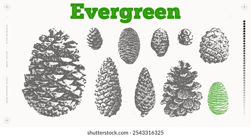 Pine cones set. Ilustração de fotocópia pontilhada de Natal