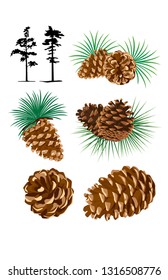 pine cones and pine trees vector illustrations