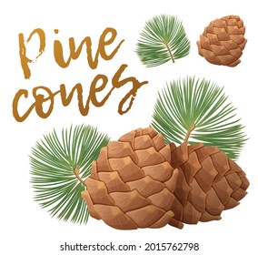 Pine cones vector icons isolated on white background, pinecone with green needles cartoon illustration