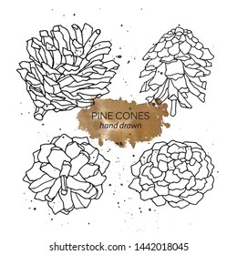 Pine cones vector illustration. Isolated Christmas pinecone. Engraved style. Elements for design of greeting cards, backgrounds, holiday decor. Silhouette designed for print, packing, poster design.
