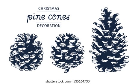 Pine cones vector set, botanical hand drawn illustration, isolated xmas pinecones, engraved collection for greeting cards, backgrounds, holiday decor