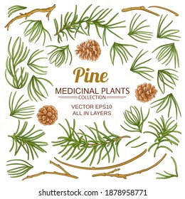 pine elements set on white background
