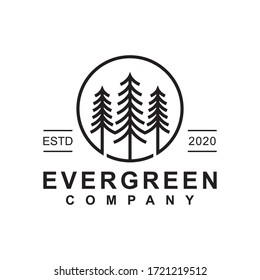 Pine Evergreen Or Conifer Cedar Coniferous Cypress Larch, Pine Tree Forest Vintage Line Art Logo Design Vector Template