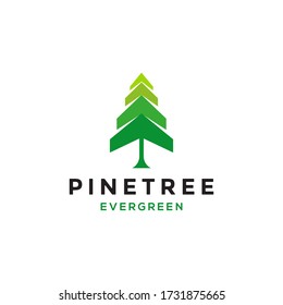 pine evergreen fir hemlock spruce conifer cedar coniferous cypress larch pinus tree forest vintage retro hipster