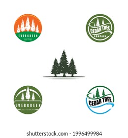 abeto de abeto de abeto de abeto de abeto de abeto de abeto evergreen de cedro árbol de Navidad diseño vectorial