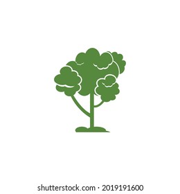 pine evergreen fir hemlock spruce conifer cedar Christmas tree Logo design vector