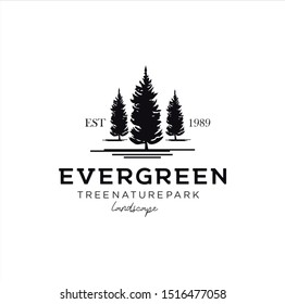 Pine Evergreen Fir Tree Logo Design Template . Hemlock Spruce Tree Logo Vintage .  Conifer Cedar Coniferous Logo Hipster Retro.  Larch Pinus Cypress Logo Icon .