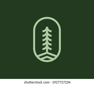 pine evergreen spruce fir logo design vector illustration