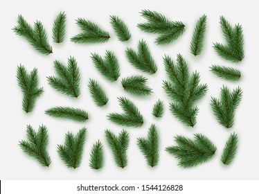 Pine fir branches. Spruce branches realistic. Christmas tree Set isolated on white background. Decorative design elements. Vector illustration  