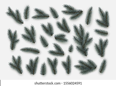 Pine fir branches. Spruce branches realistic. Christmas tree Set isolated on white background. Decorative design elements. Decoration Natural objects. Xmas decor. Vector illustration