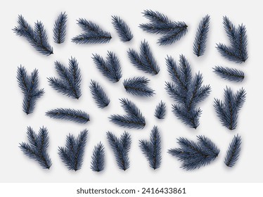 Pine fir branches. Spruce branches realistic. Christmas tree Set isolated on white background. Decorative design elements. Decoration Natural objects. Xmas decor. Vector illustration