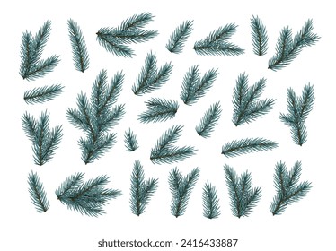 Pine fir branches. Spruce branches realistic. Christmas tree Set isolated on white background. Decorative design elements. Decoration Natural objects. Xmas decor. Vector illustration