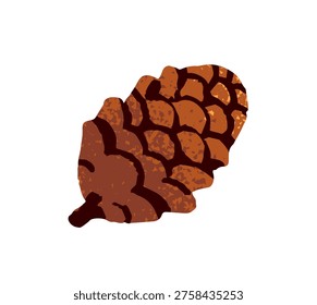 Pine or fir cone. Pinecone with seeds. Strobile of cedar or firtree. Design element of autumn, winter nature. Floral decor. Christmas decoration. Flat isolated hand drawn vector illustration in white