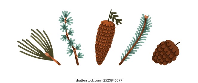 Pine and fir cones, conifer branches set. Natural botanical forest decoration. Evergreen coniferous needles, fircone, pinecone, spruce twig. Flat vector illustration isolated on white background