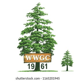 Pine fir forest Vector Floral