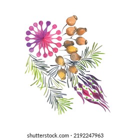 Pine fir tree branches with cones and flowers decorative design element hand drawn watercolor illustration