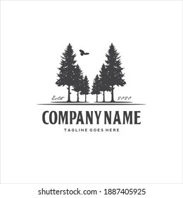 Pine Fir Tree Timberland Logo Design Vector Image