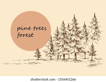 Pine forest background. Hand drawn nature landscape