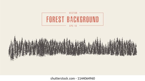 Pine forest background, vector illustration, hand drawn, sketch