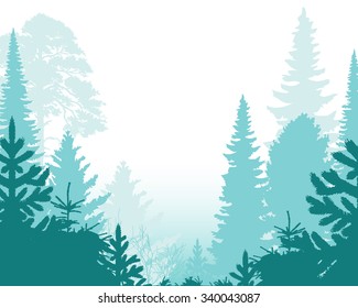 Pine Forest Background    - vector illustration