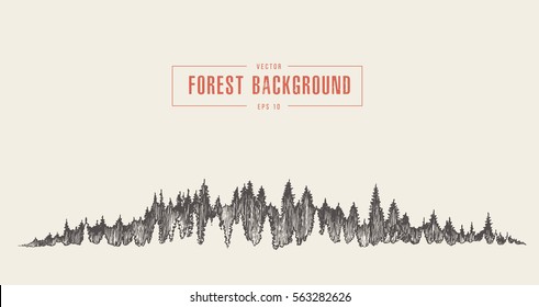 Pine forest background, vector illustration, hand drawn, sketch
