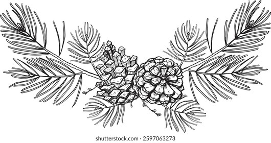 Pine forest bouquet composition vector