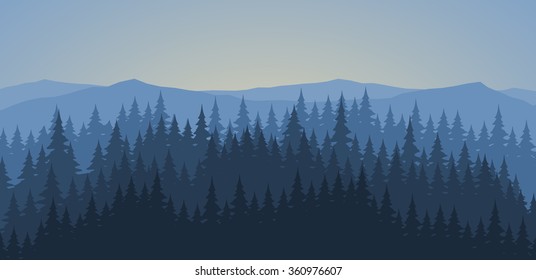 Pine forest at dawn landscape background