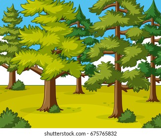 Pinienwald zur Tageszeit - Illustration