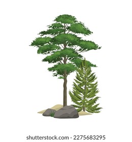 Pine forest elements with realistic green trees and boulders vector illustration