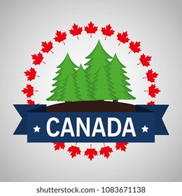 pine forest field canadian frame