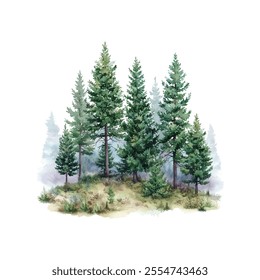 
pine forest in the fog vector illustration in watercolor style