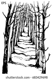 Pine forest - hand-drawn, sketch. Sketch on white background - vector illustration