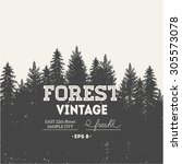 Pine forest. Journey design template. Vector illustration