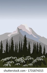 bosque de pinos con montaña para ilustración de fondo e imagen