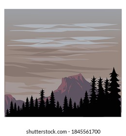 Pine forest and mountain for background illustration and image