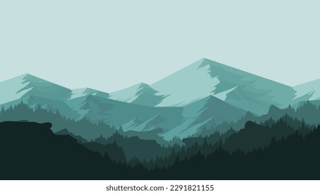 Pine forest mountain scenery. In the evening and morning.