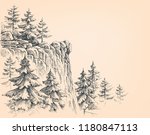Pine forest in the mountains