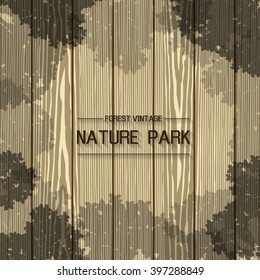Pine forest. Nature park